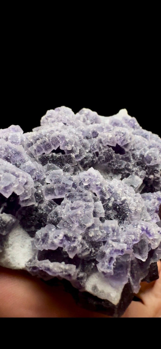 0428- Multigenerational Fluorite