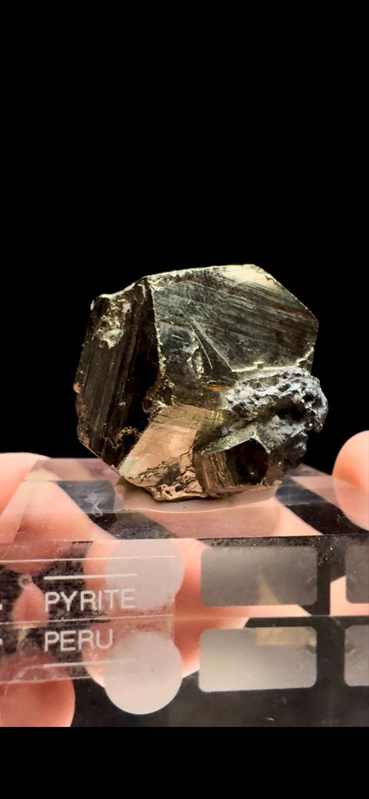 0321- Pyrite