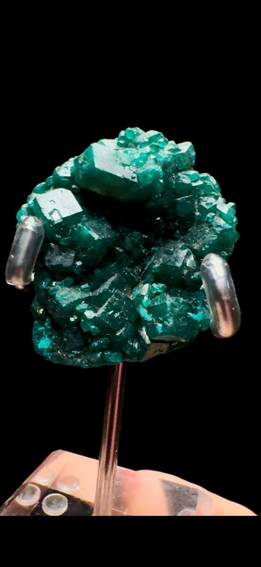 0445- Dioptase