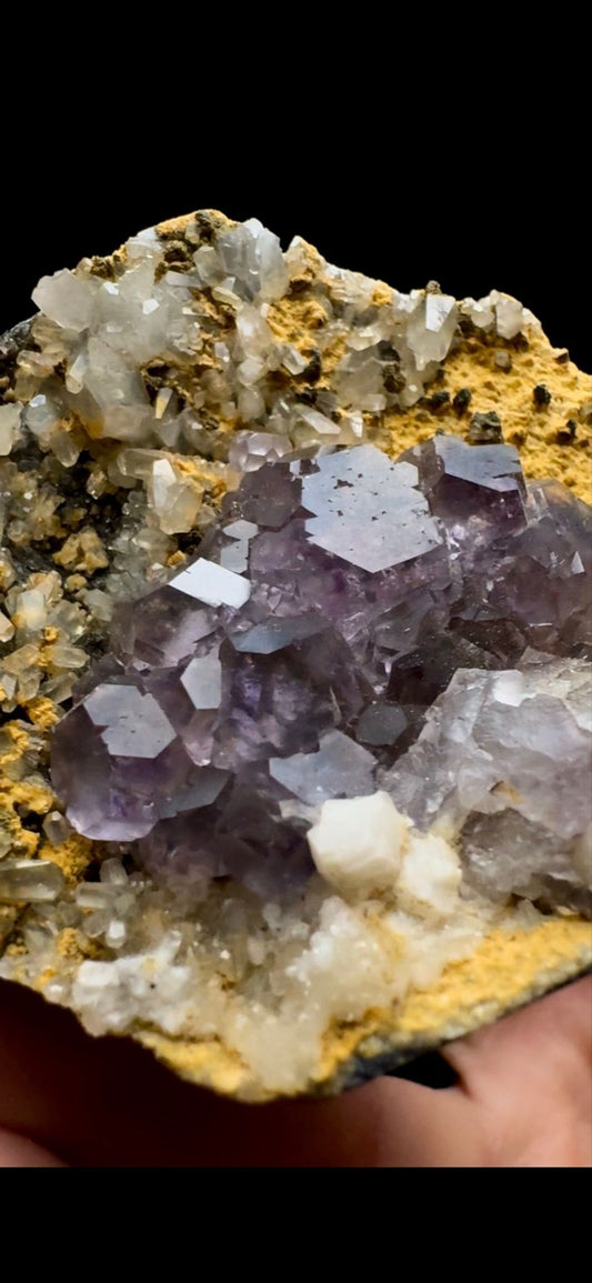 0473- Tanzanite Fluorite