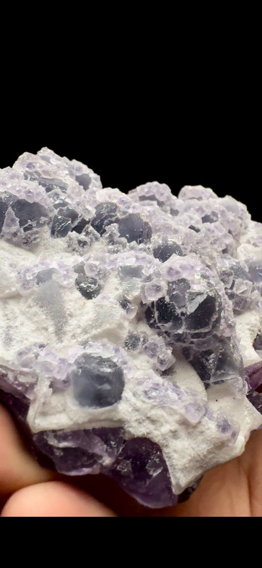 0427- Multigenerational Fluorite