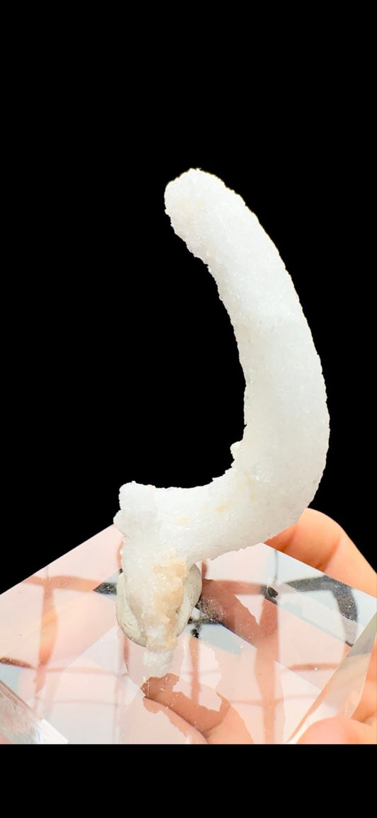 708- Horn Selenite