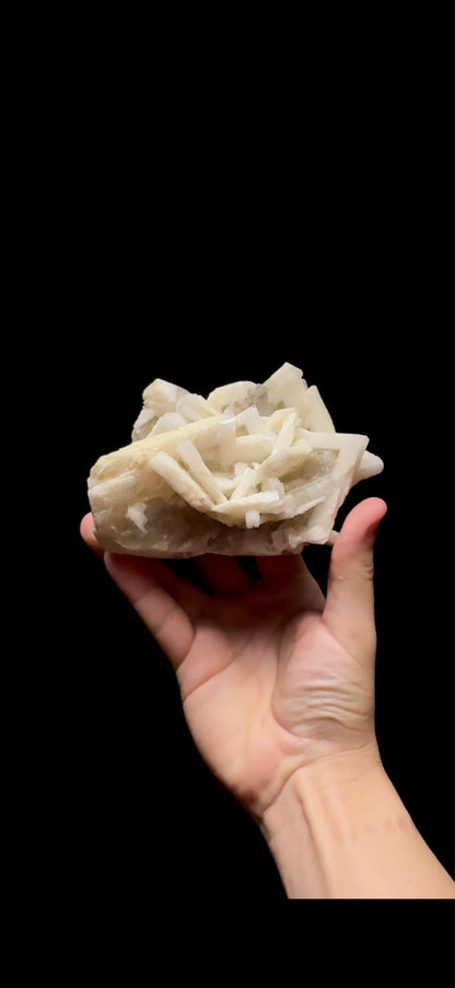 0755- Rabbit Ear Multigenerational Barite