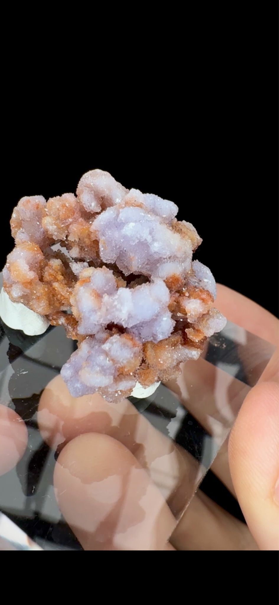 0681- Purple Creedite