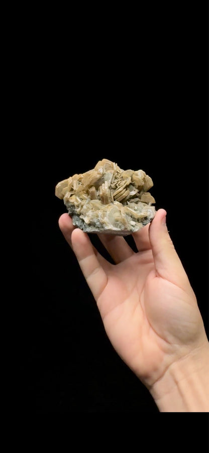 0599- Banana Calcite