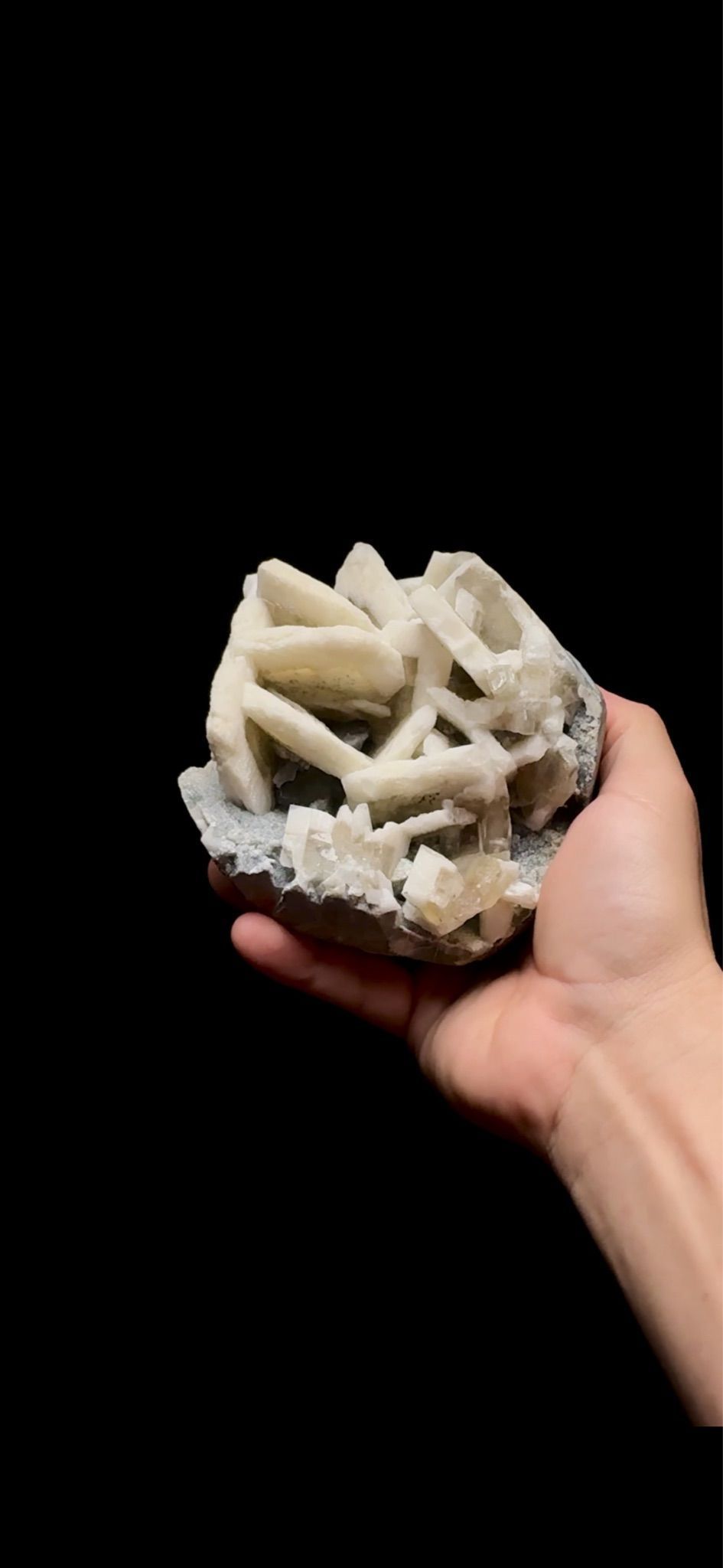 0756- Rabbit Ear Multigenerational Barite