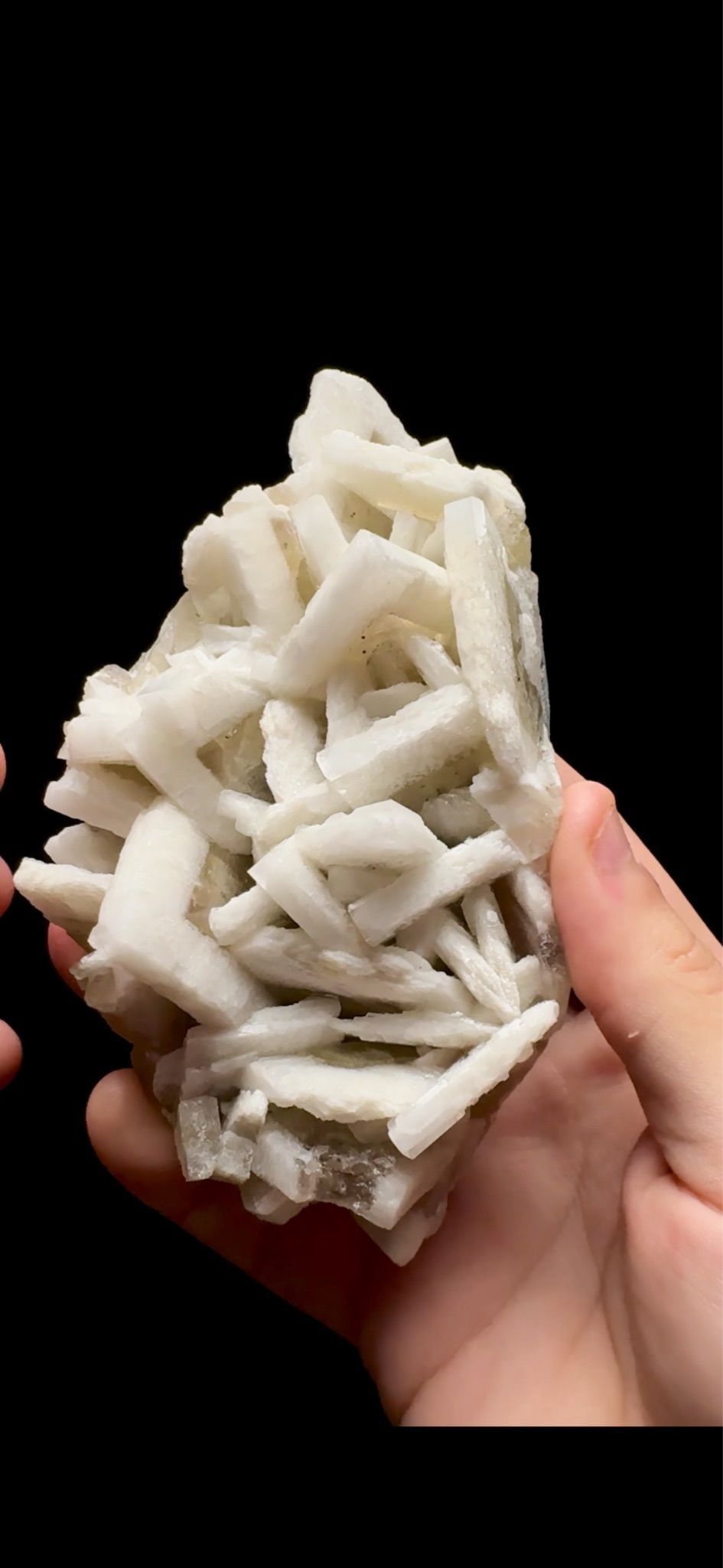 0754- Rabbit Ear Multigenerational Barite
