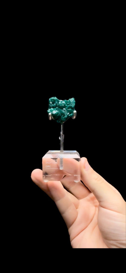 0718- Dioptase