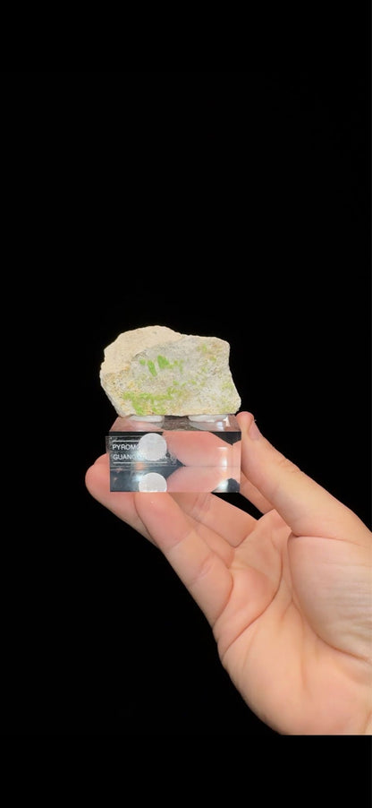 0697- Pyromorphite