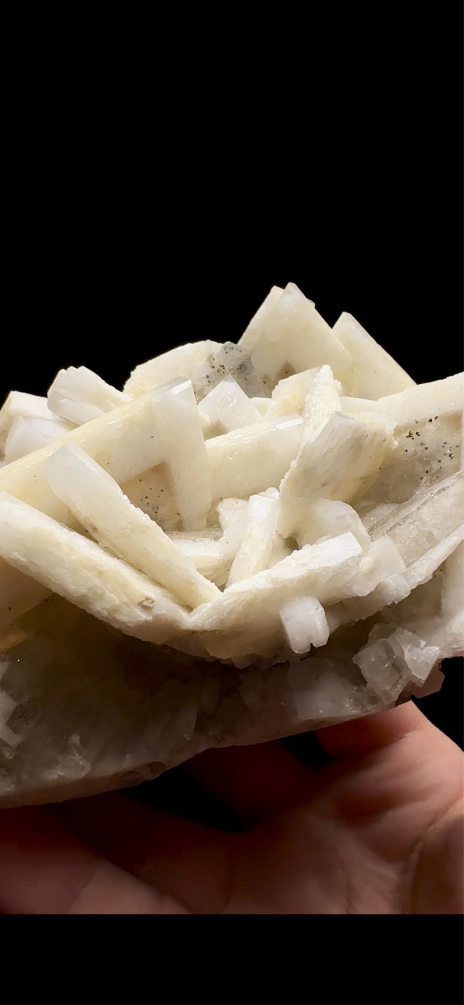 0755- Rabbit Ear Multigenerational Barite