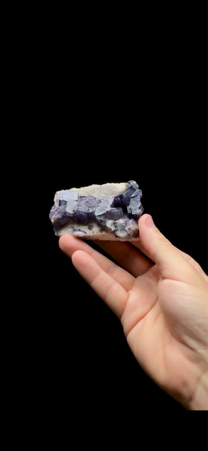 0737- Borderline Fluorite (QR Code)