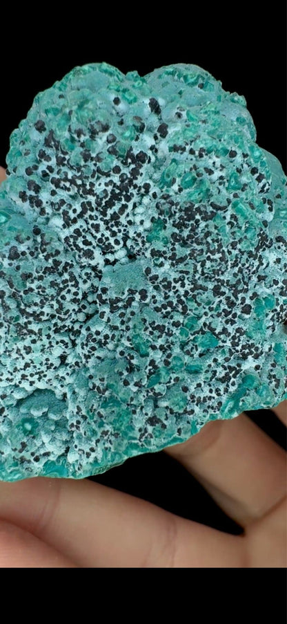 0683- Chrysocolla