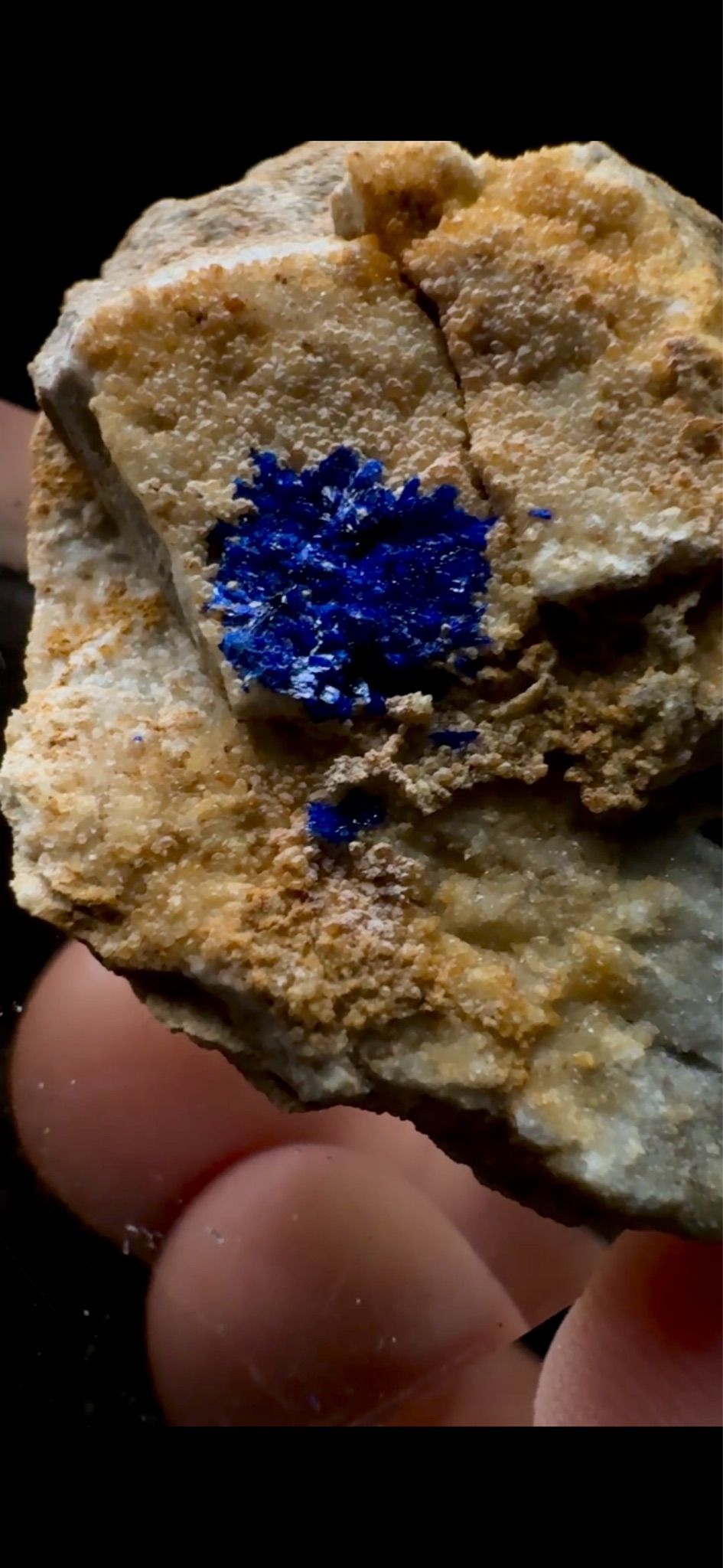 0629- Azurite Suns
