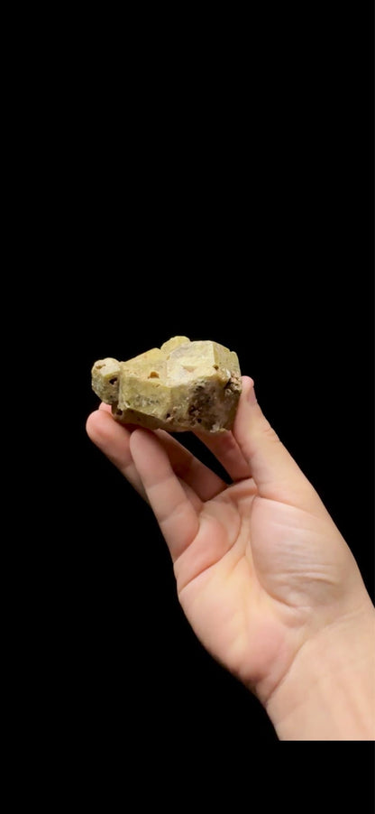 0615- Leopard Skin Andradite Garnet