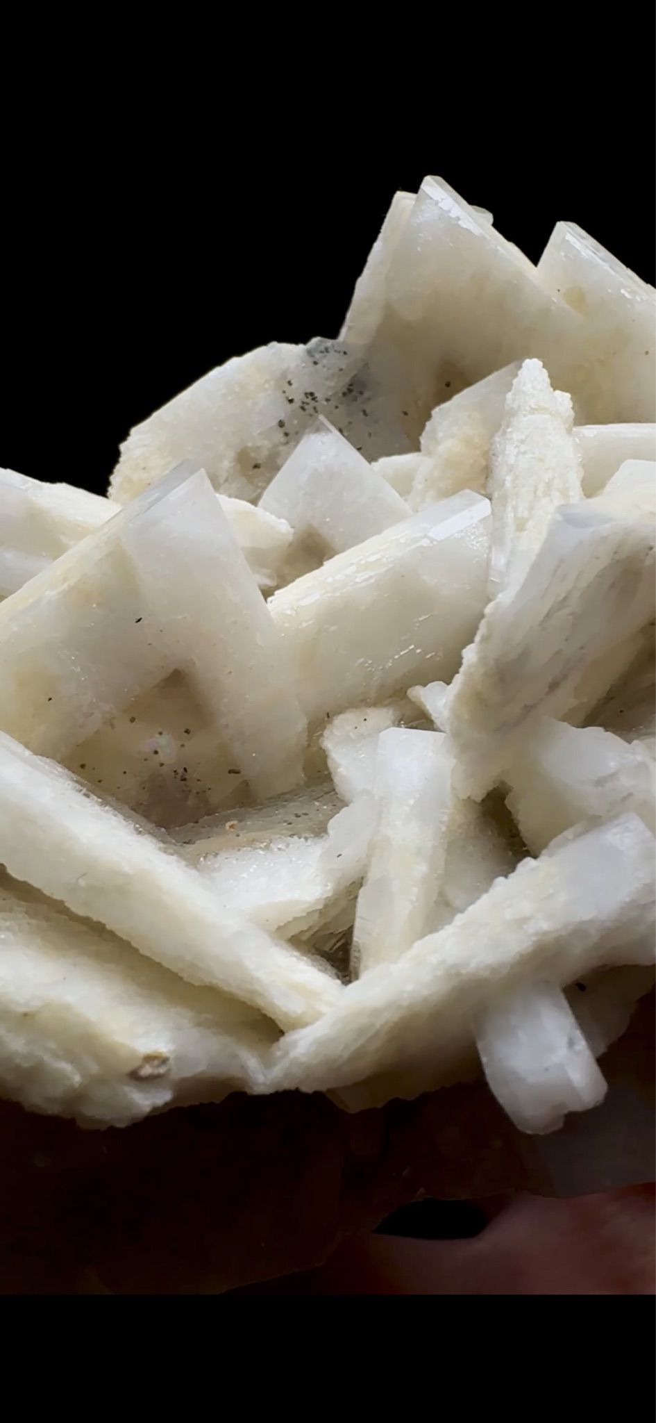 0755- Rabbit Ear Multigenerational Barite