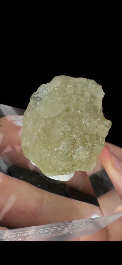0736- Libyan Glass (Tektite Meteorite )