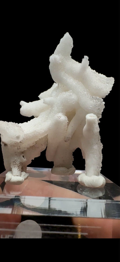 0665- Calcite Helicite