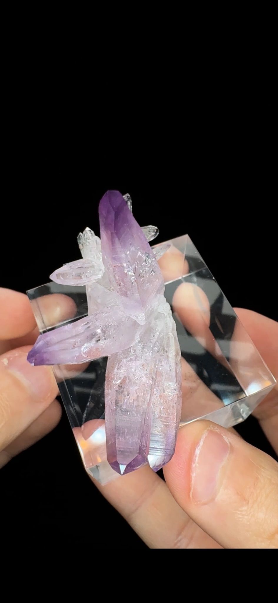 0712- Vera Cruz Amethyst