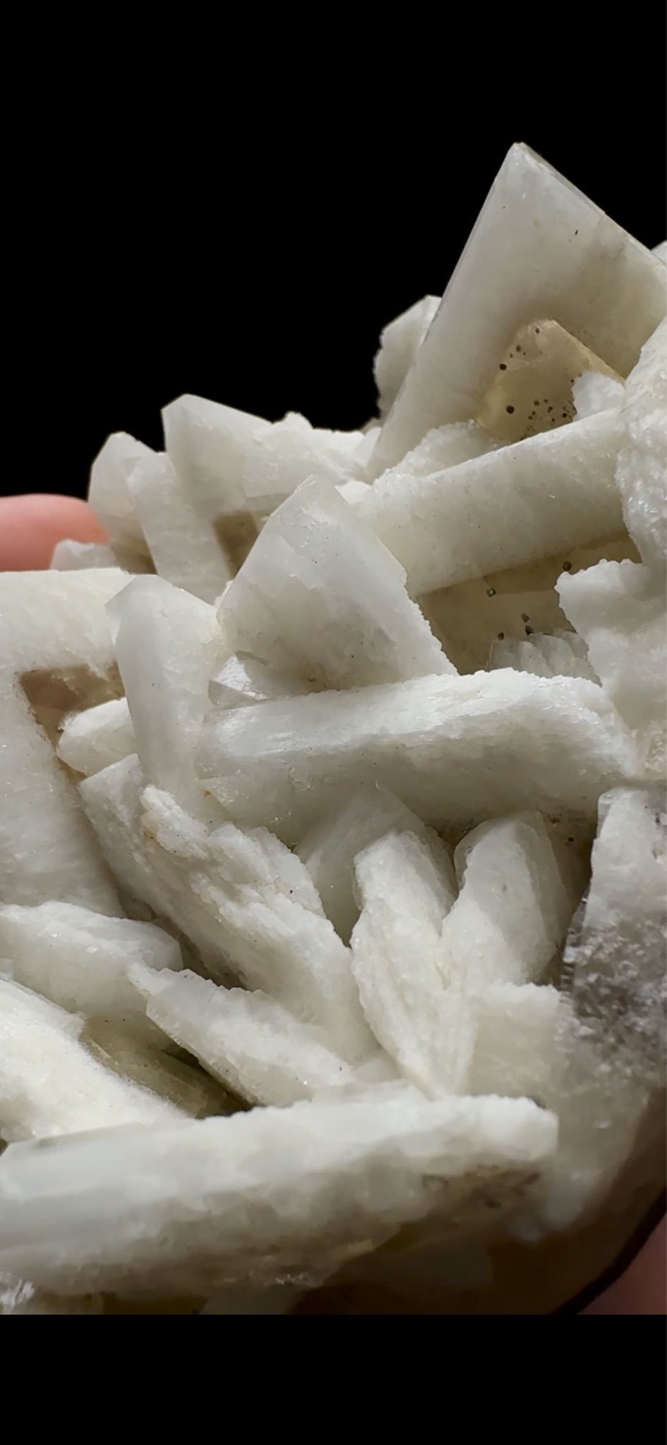 0754- Rabbit Ear Multigenerational Barite