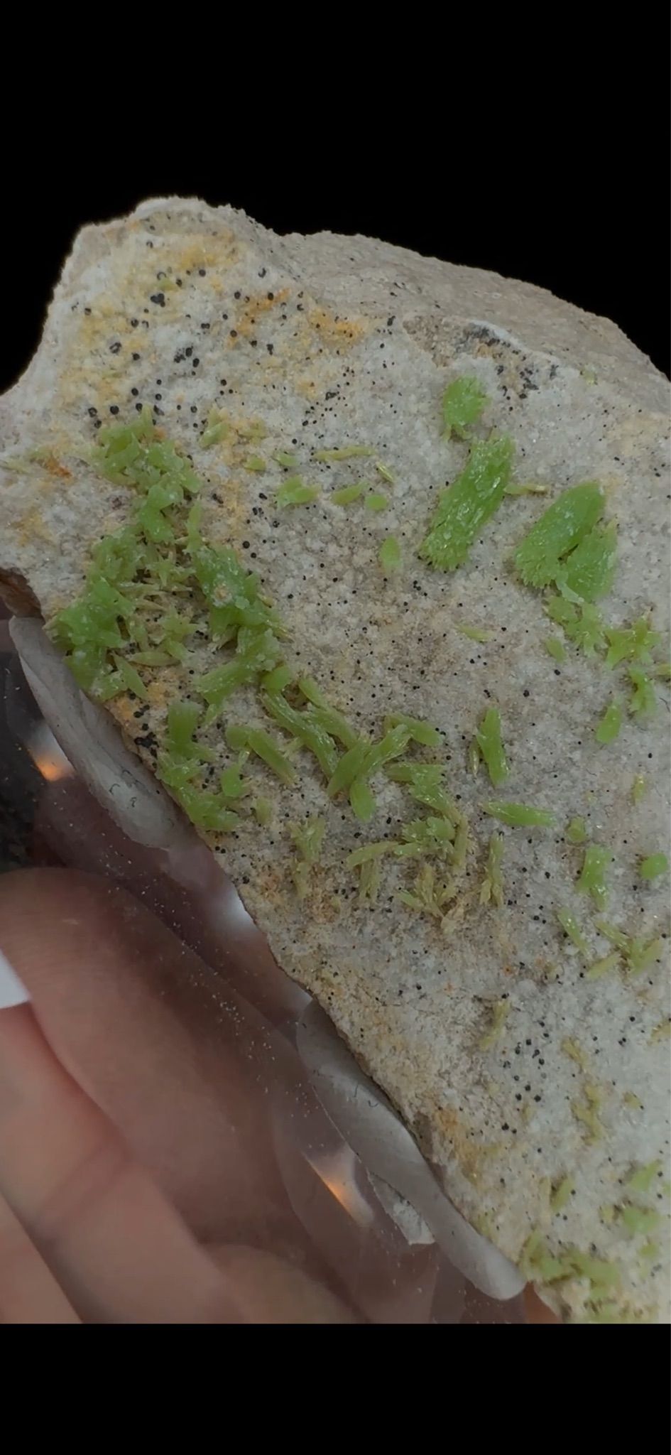 0697- Pyromorphite