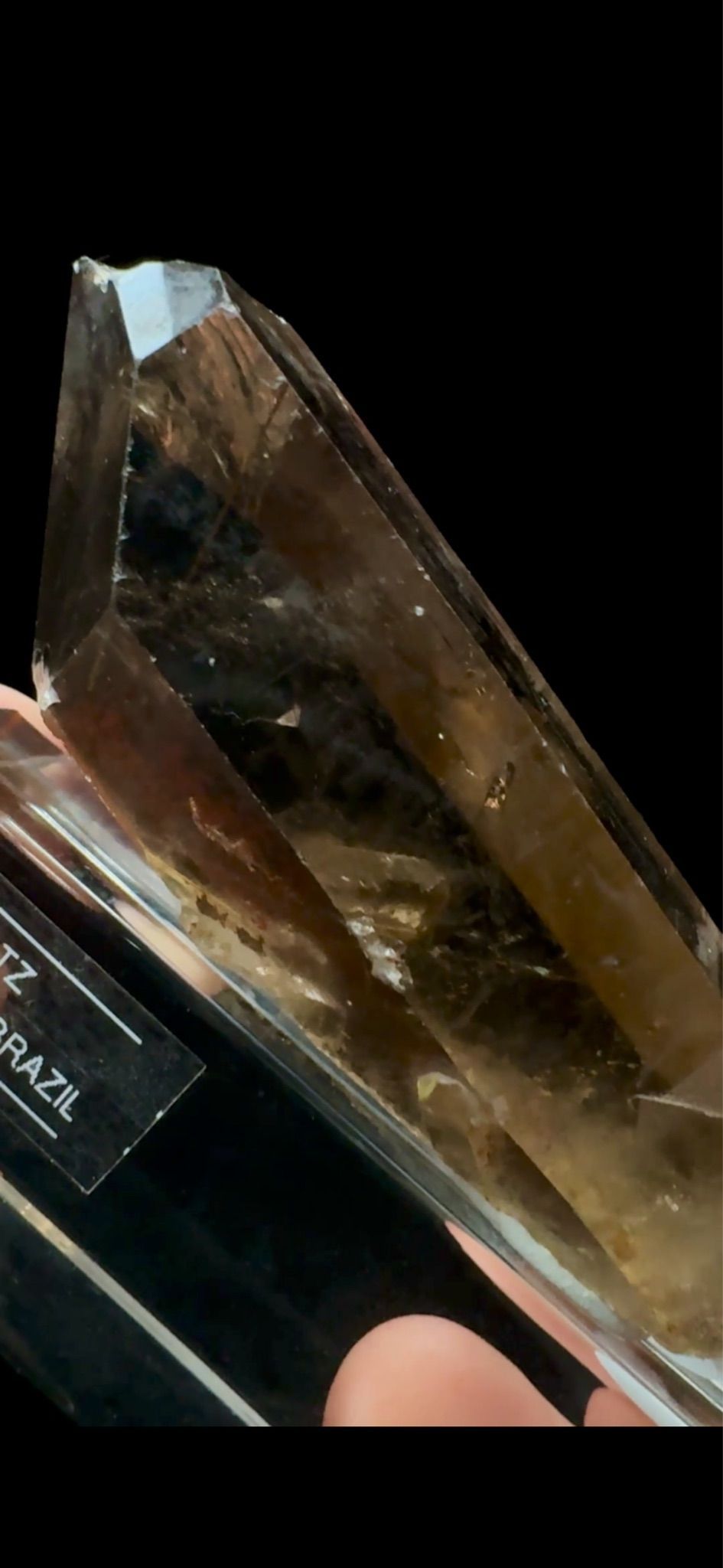 0567- Golden Rutile in Quartz
