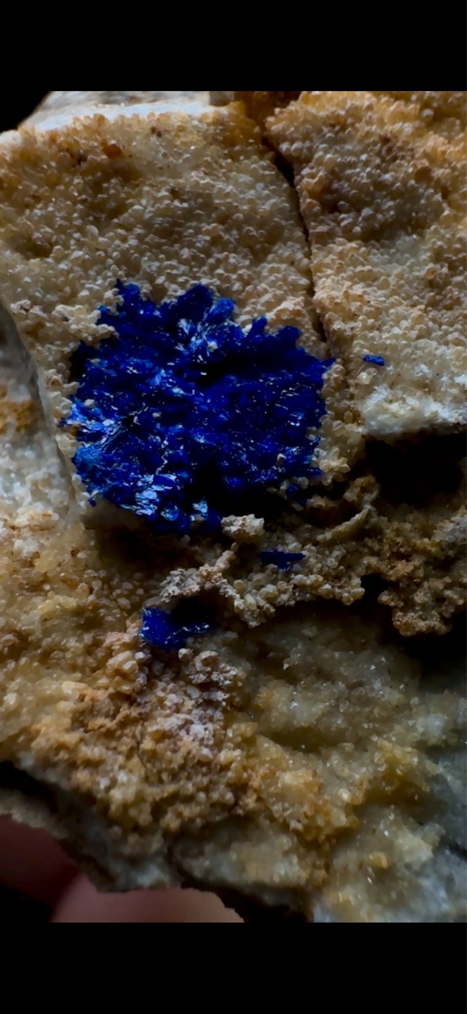 0629- Azurite Suns