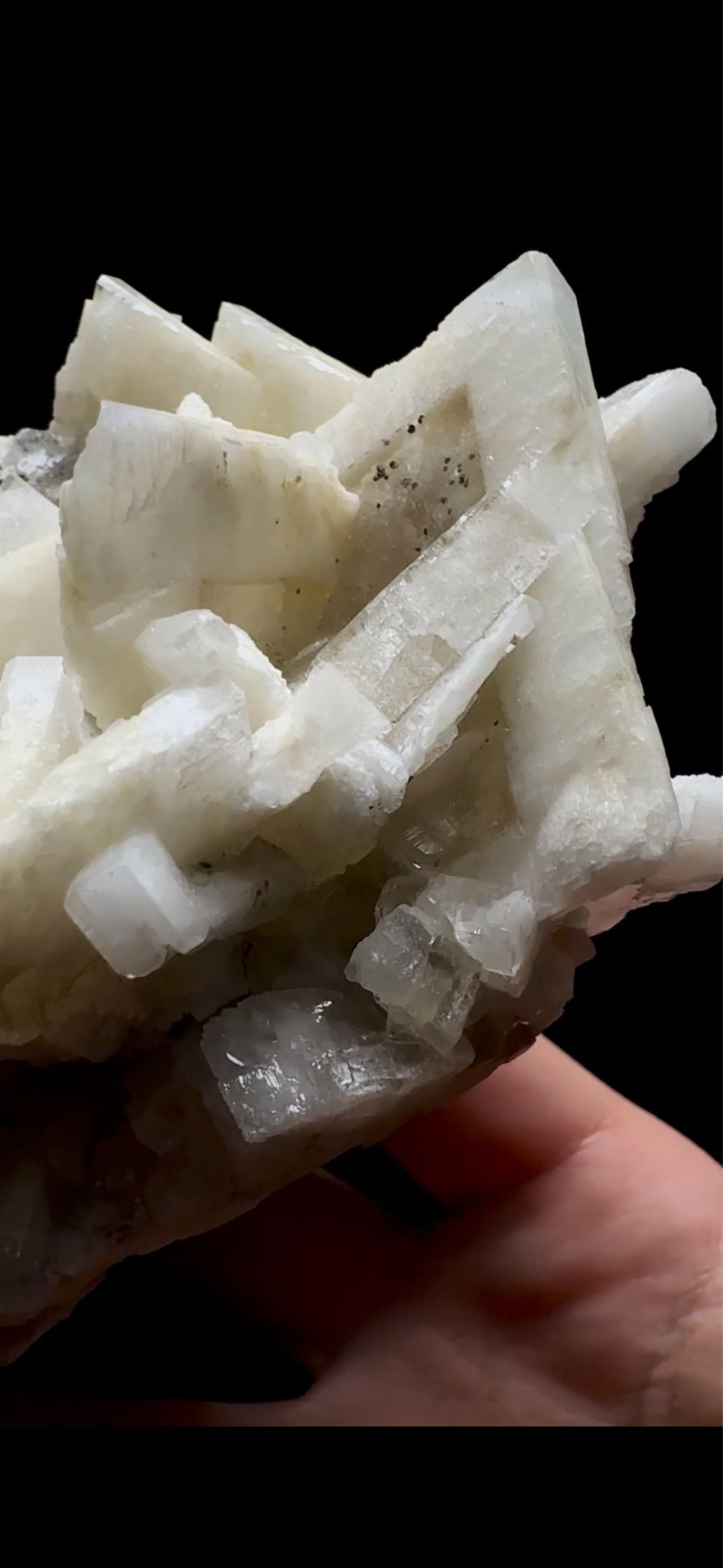 0755- Rabbit Ear Multigenerational Barite