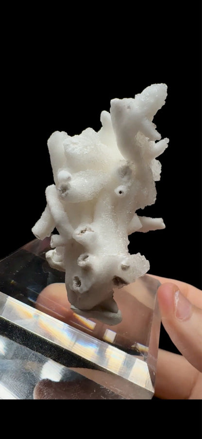 0665- Calcite Helicite