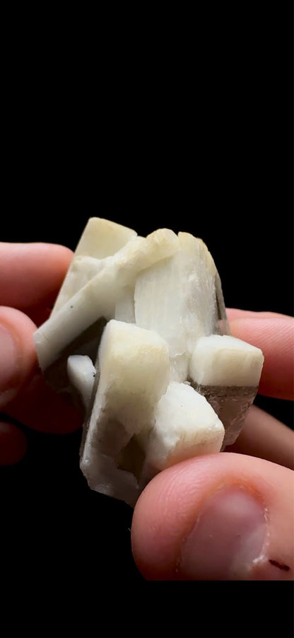 0753- Rabbit Ear Multigenerational Barite