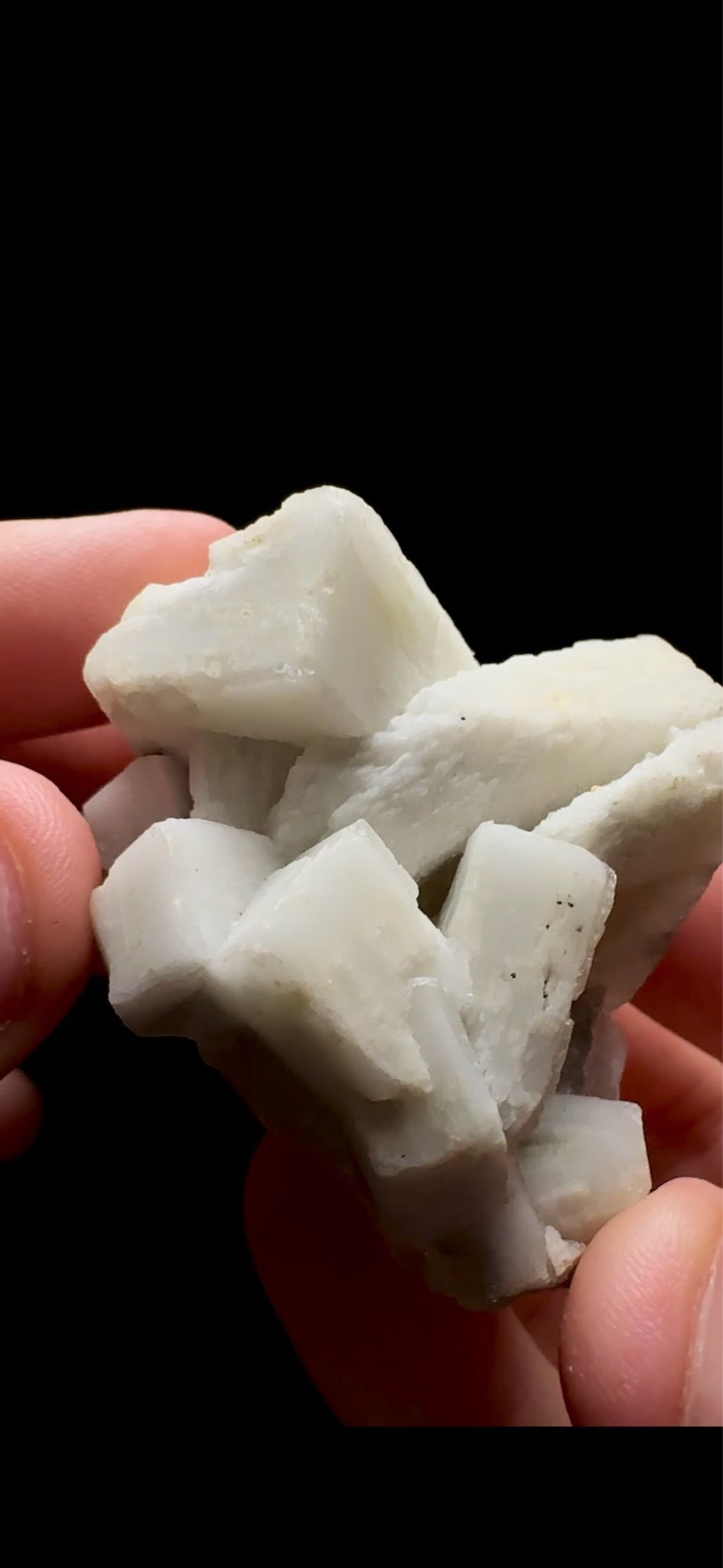 0752- Rabbit Ear Multigenerational Barite