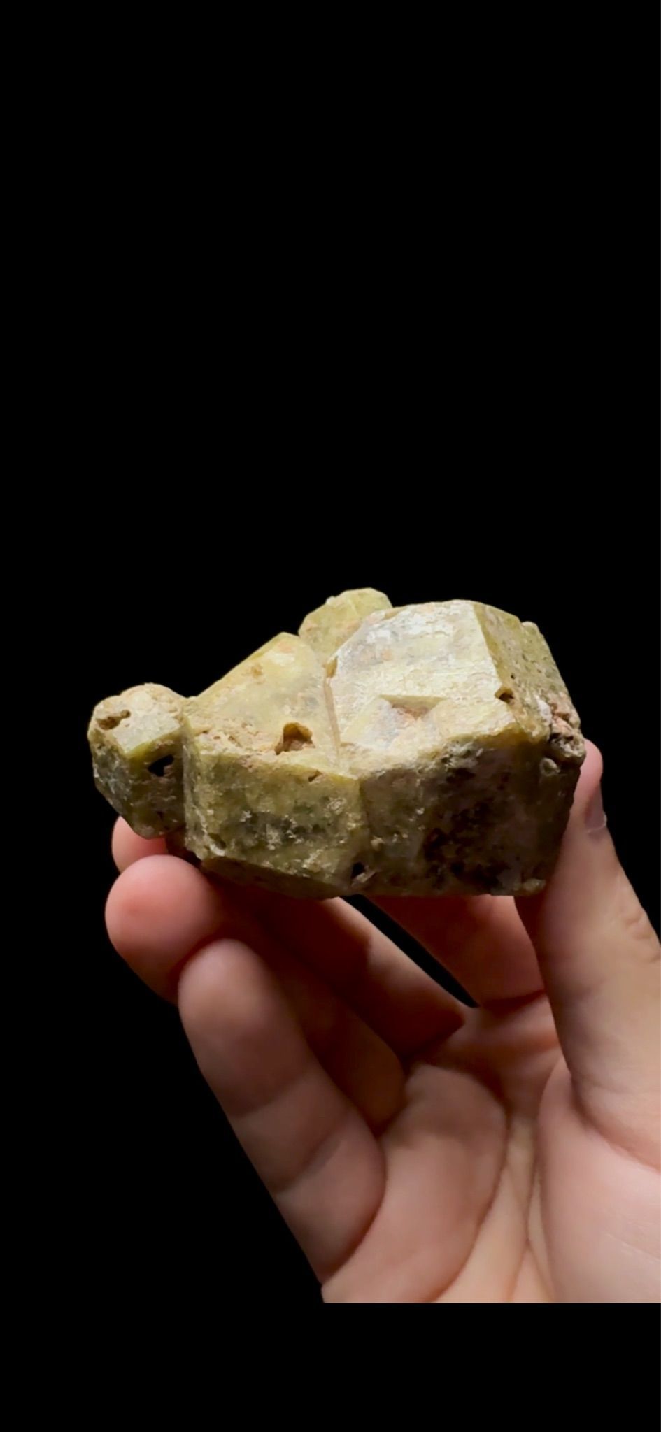 0615- Leopard Skin Andradite Garnet