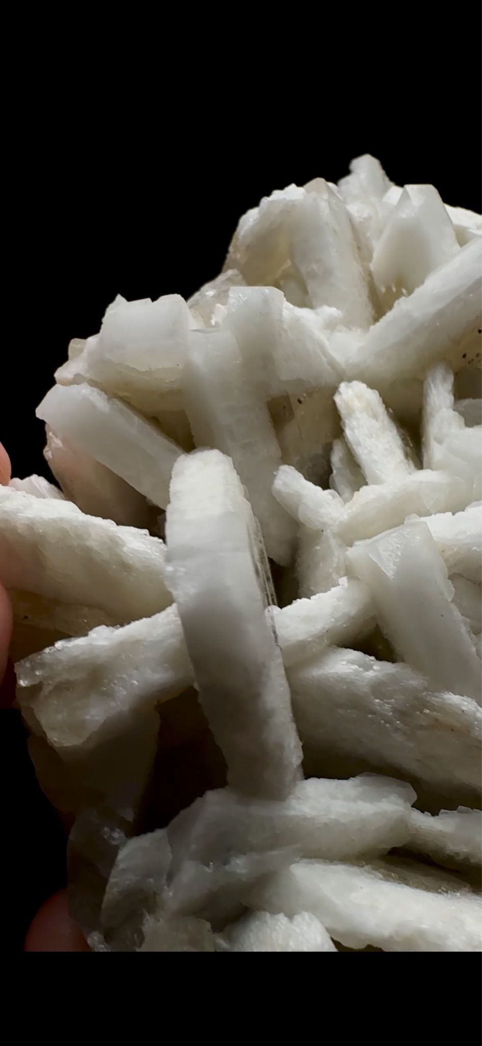0754- Rabbit Ear Multigenerational Barite