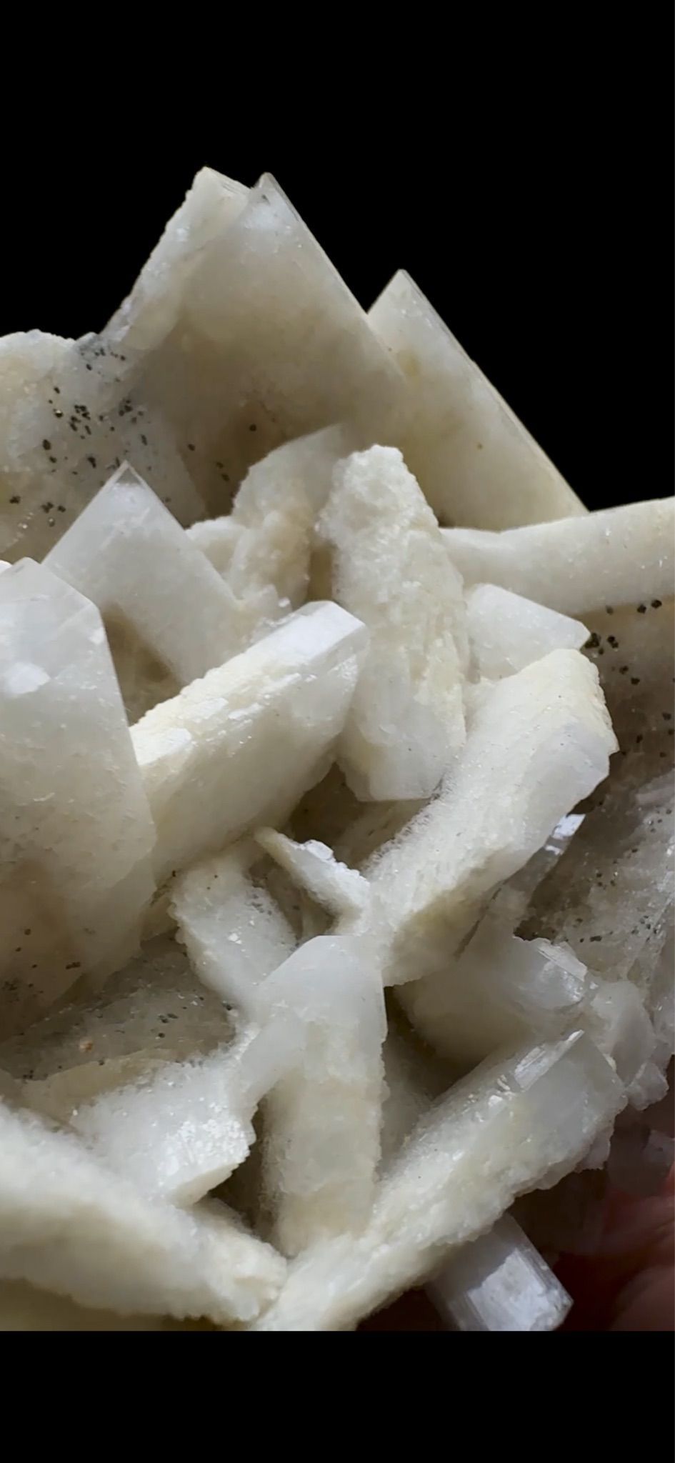 0755- Rabbit Ear Multigenerational Barite
