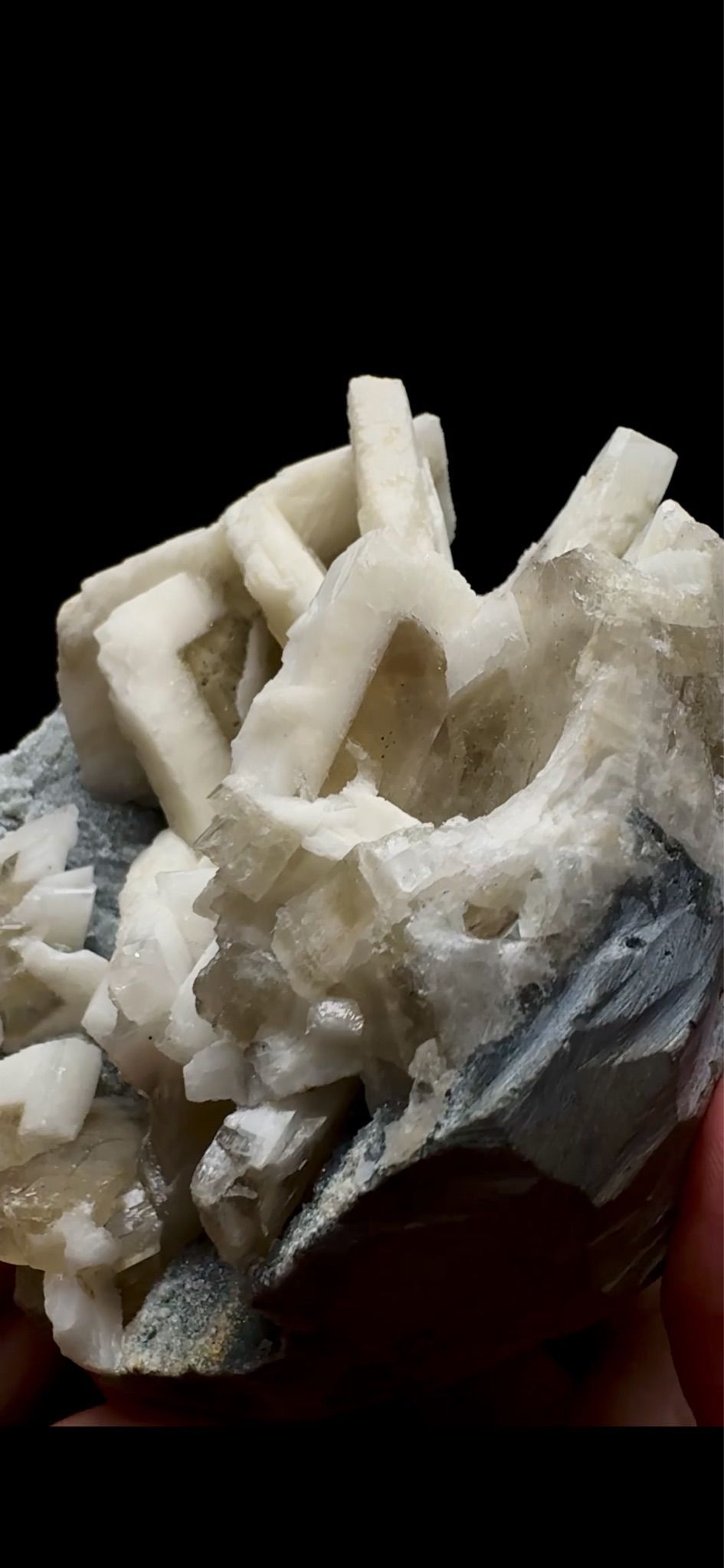 0756- Rabbit Ear Multigenerational Barite