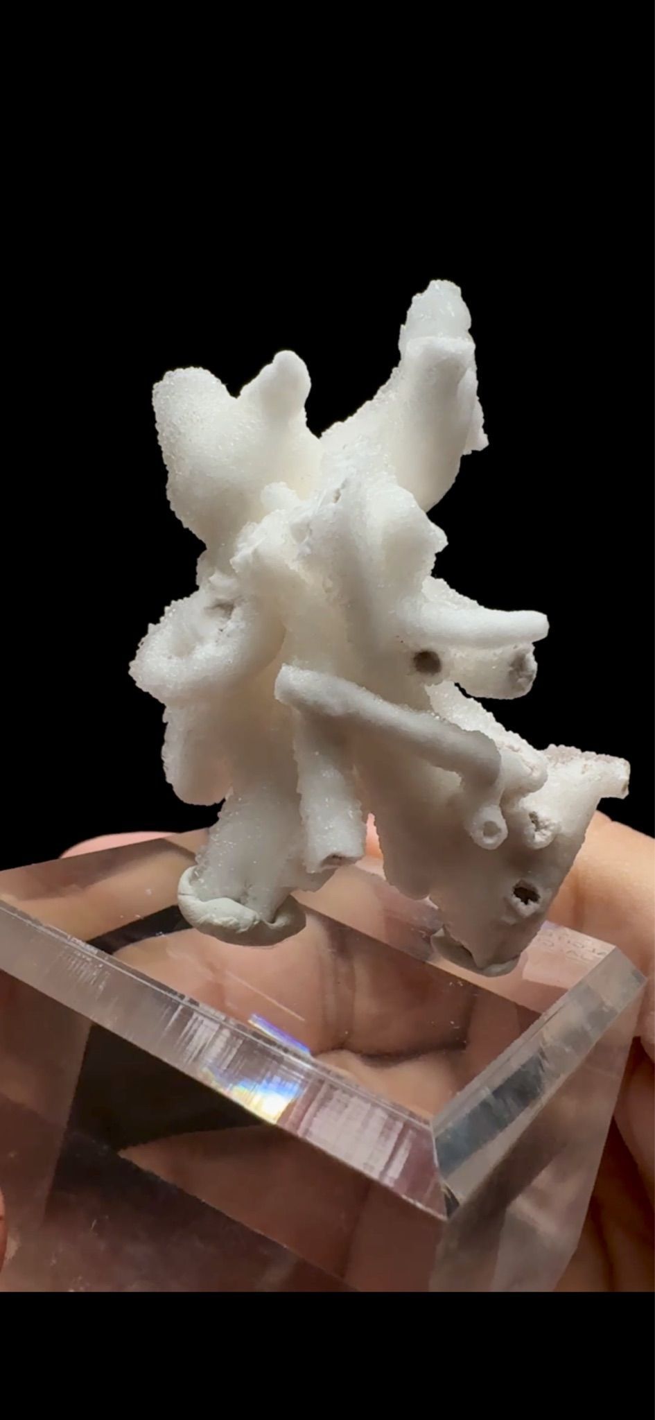0665- Calcite Helicite