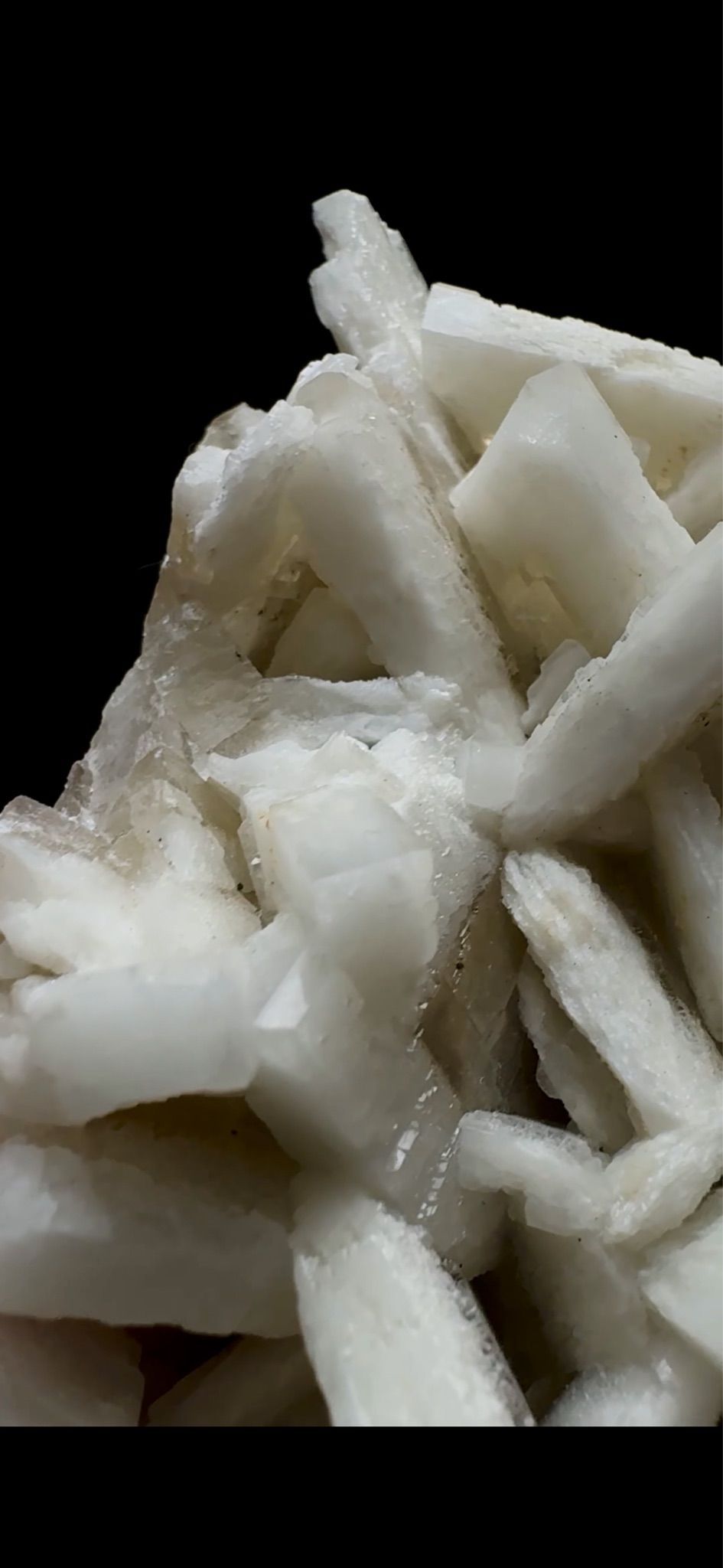 0754- Rabbit Ear Multigenerational Barite