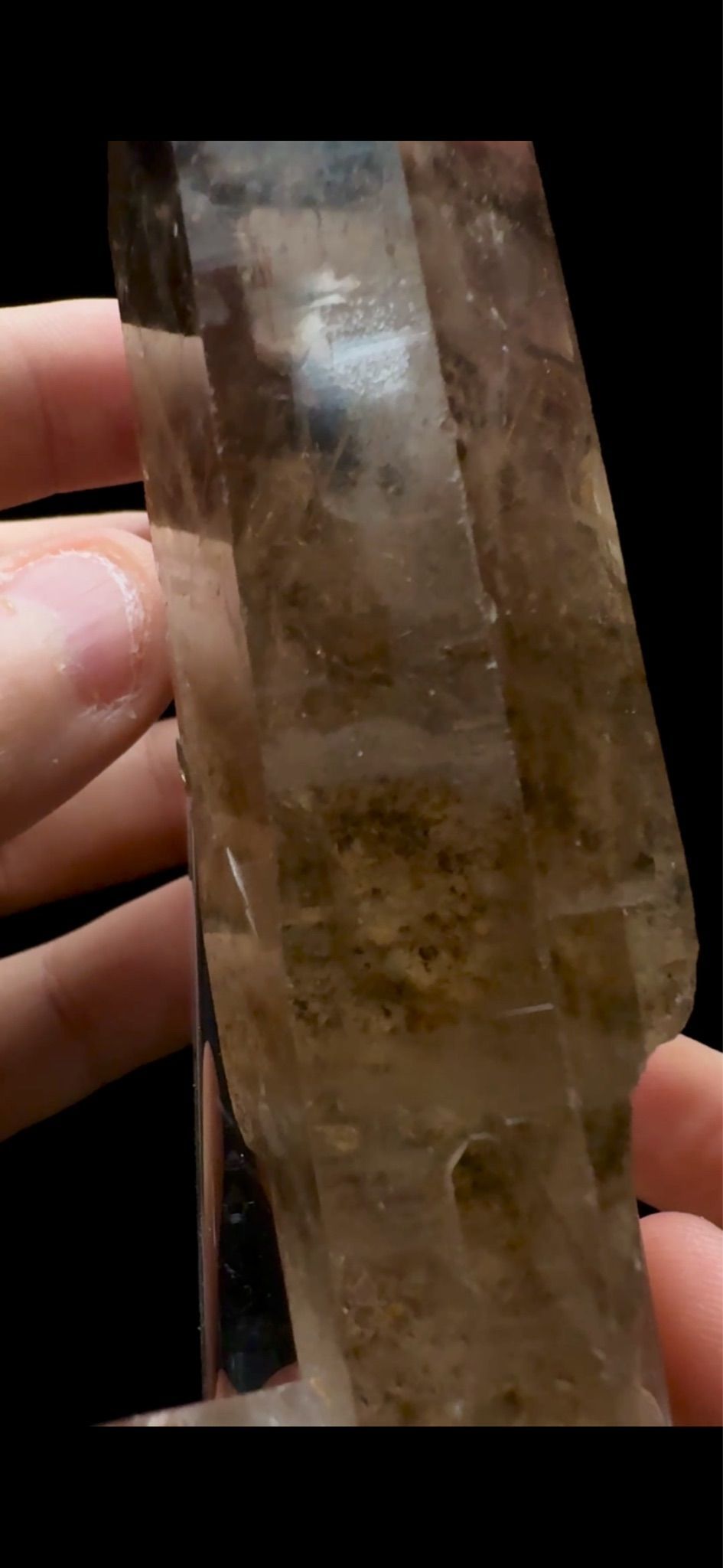 0567- Golden Rutile in Quartz