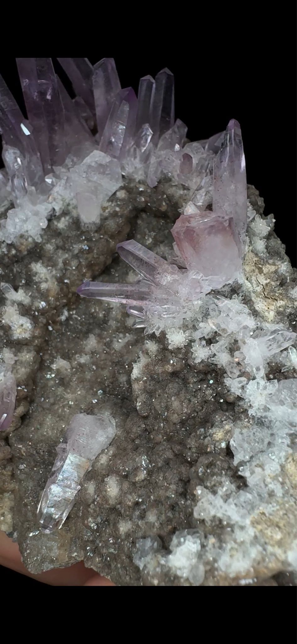 0708- Vera Cruz Amethyst