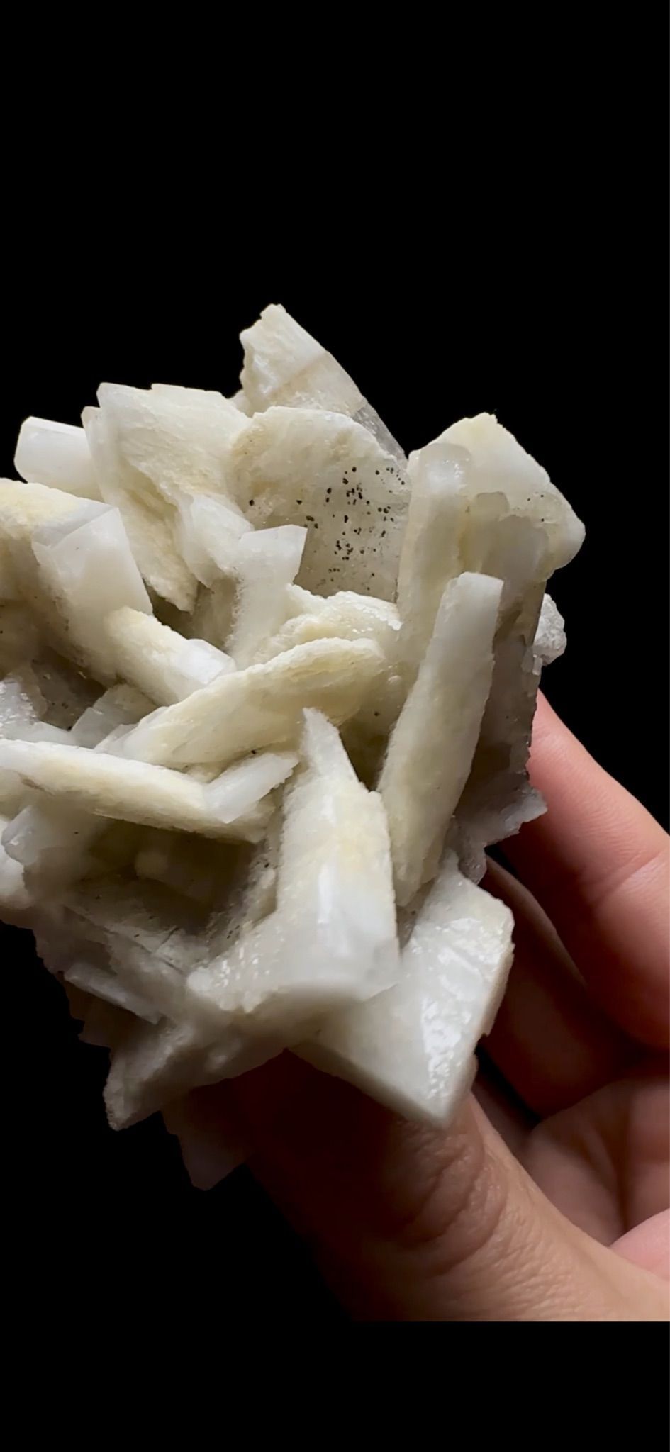 0755- Rabbit Ear Multigenerational Barite