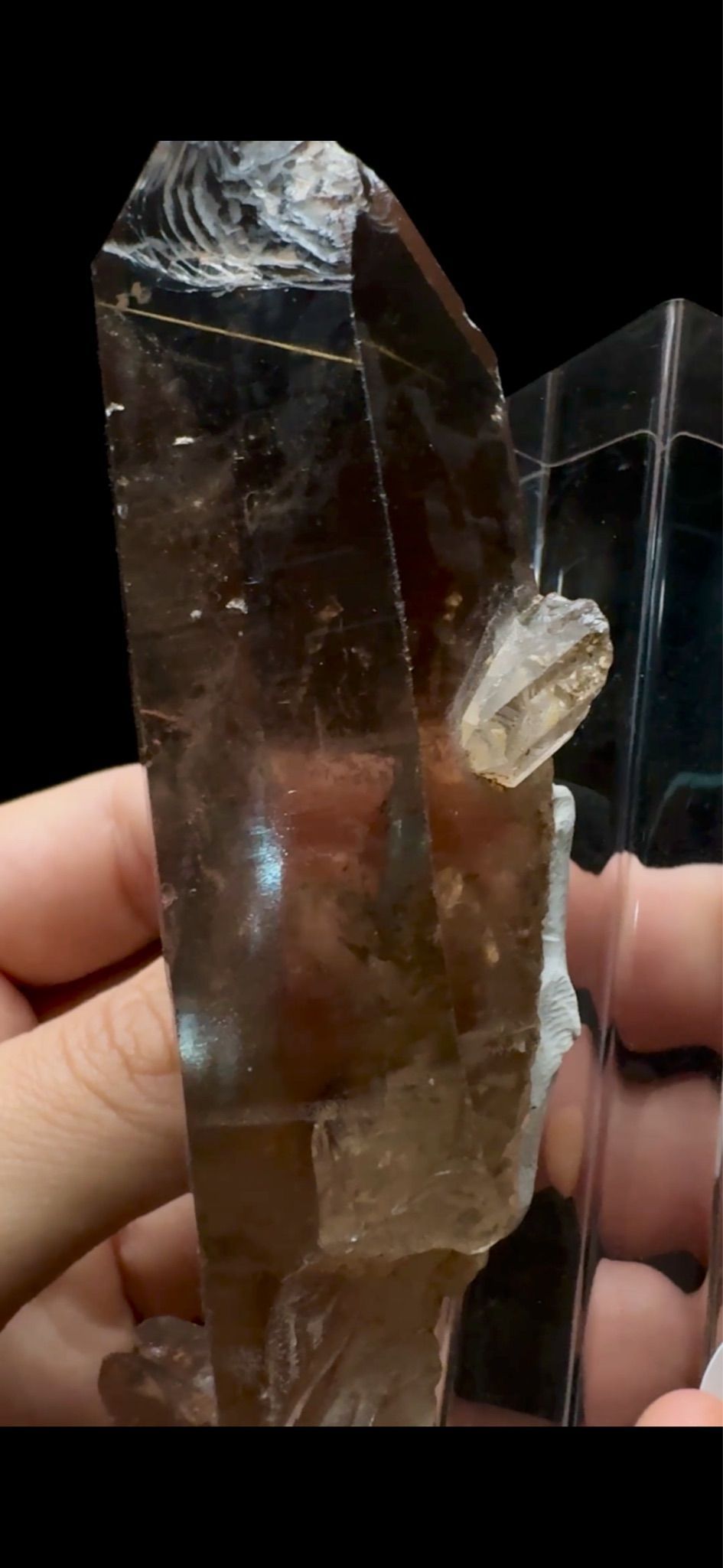 0567- Golden Rutile in Quartz