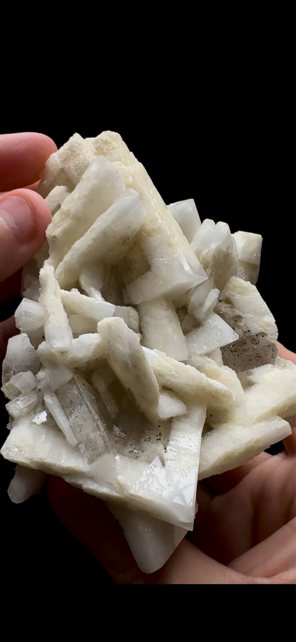0755- Rabbit Ear Multigenerational Barite