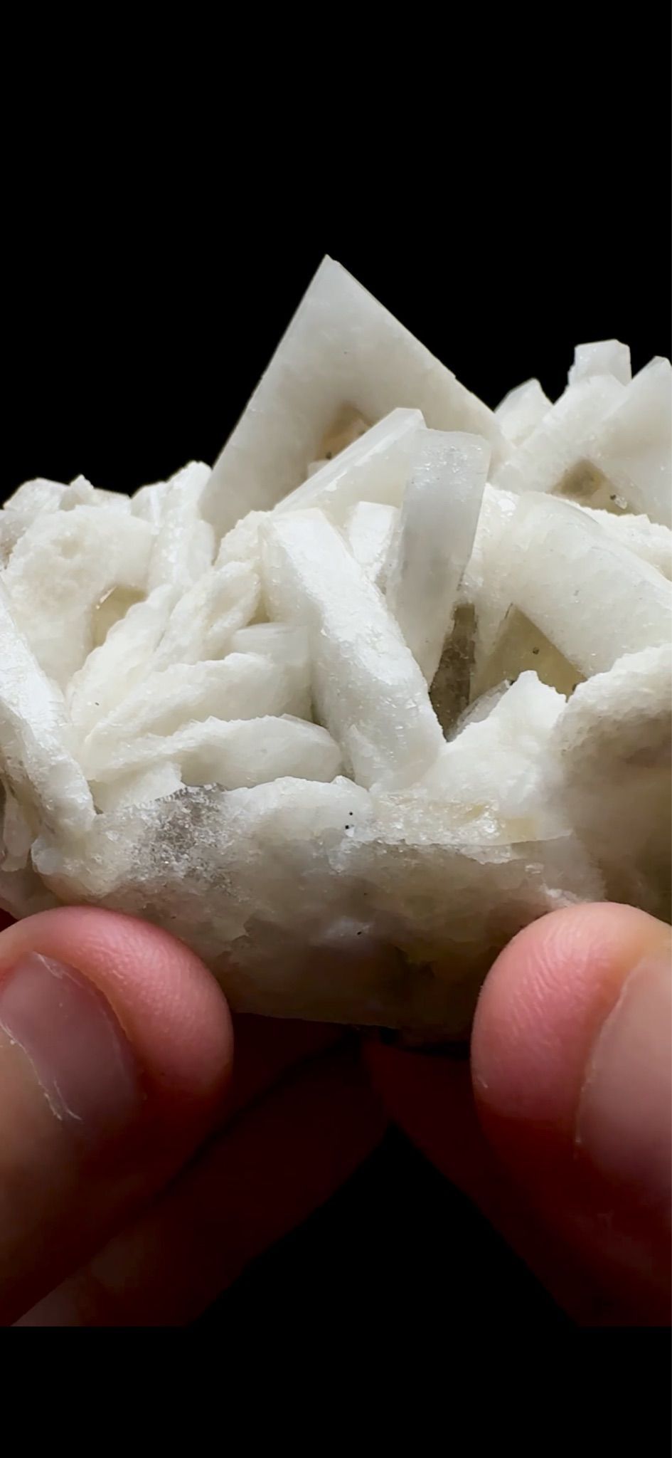 0754- Rabbit Ear Multigenerational Barite