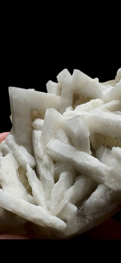 0754- Rabbit Ear Multigenerational Barite