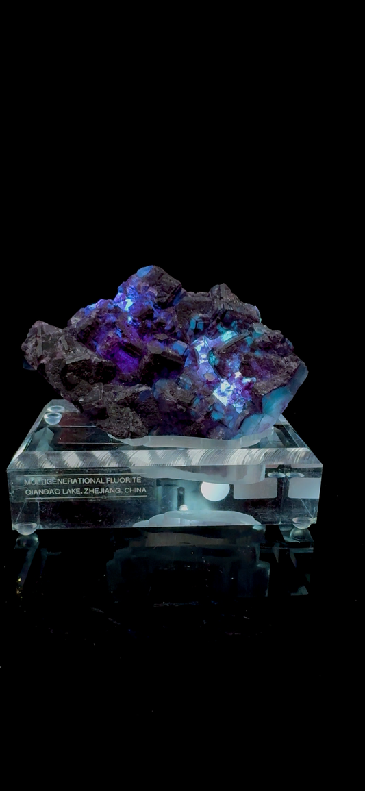 Josh_powell17- 03.14