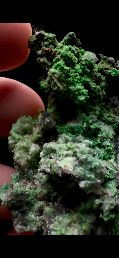0523-Coinichalcite