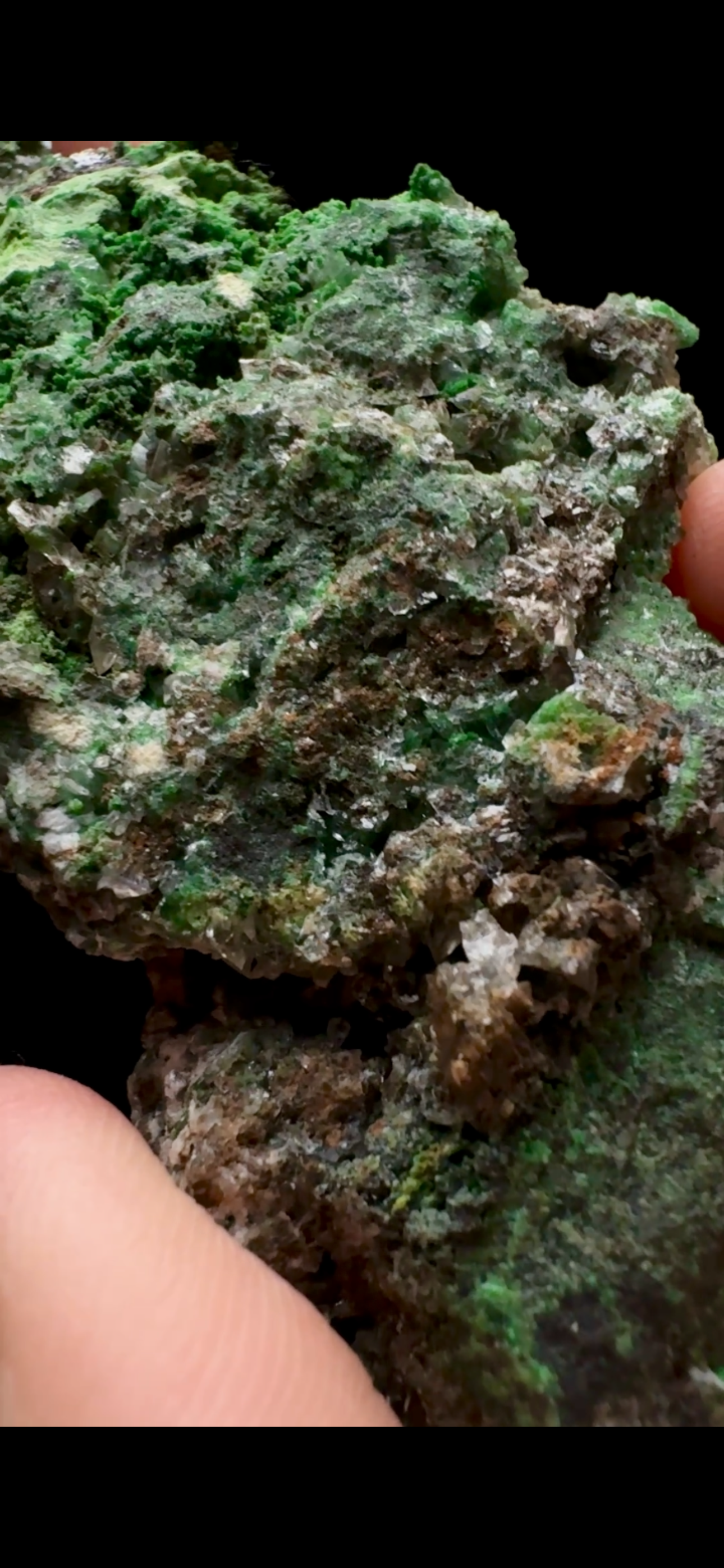 0523-Coinichalcite