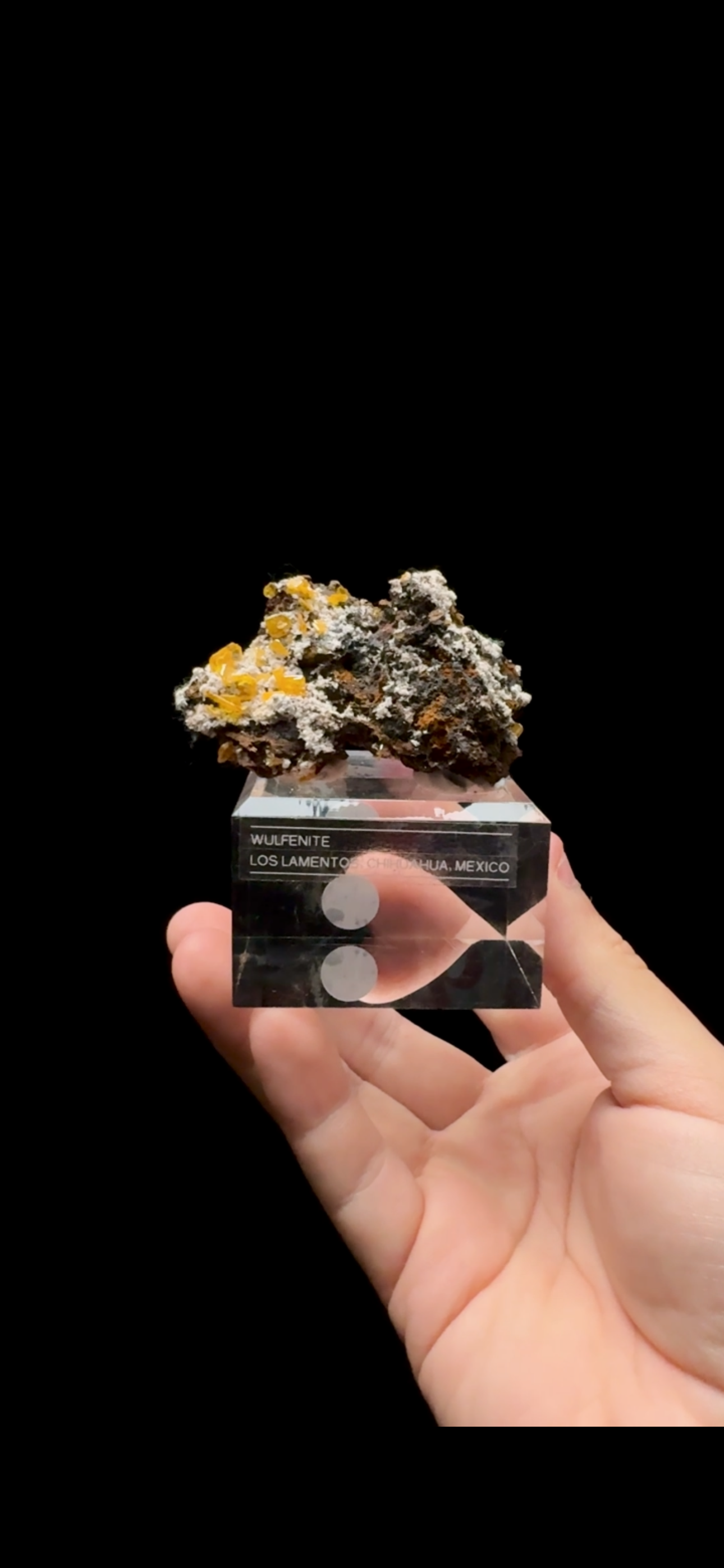 0524-Wulfenite