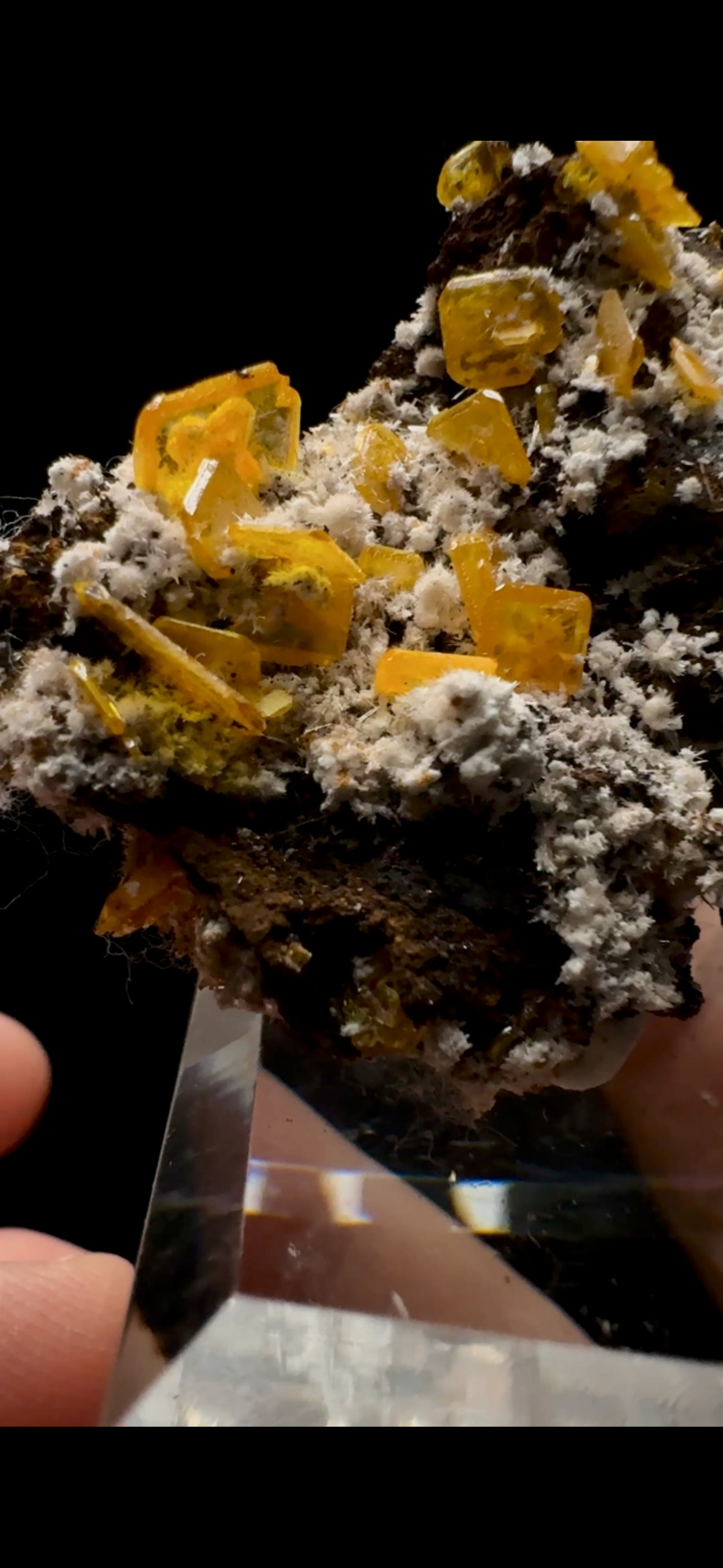 0524-Wulfenite