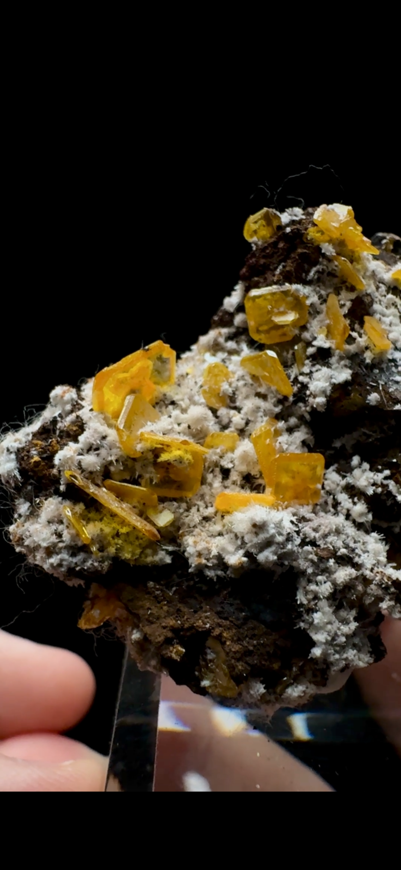 0524-Wulfenite