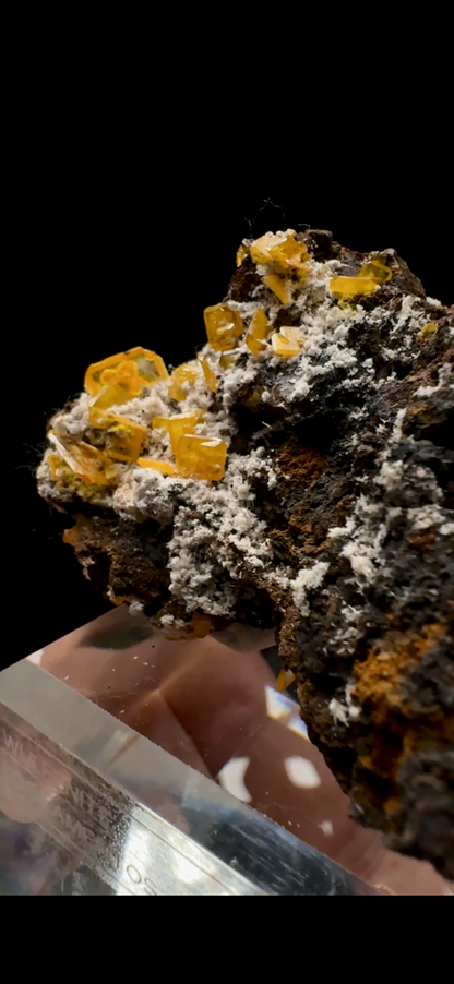 0524-Wulfenite